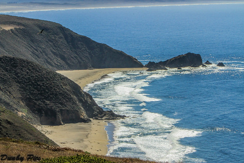 ocean ranch park county trees beach point photo marin pic national pierce seashore reyes mcclure tomales cypruss dunby