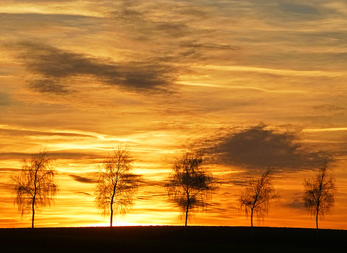 trees sunset geotagged day sundown cloudy winterimpression geo:lat=5145903056 geo:lon=939269444