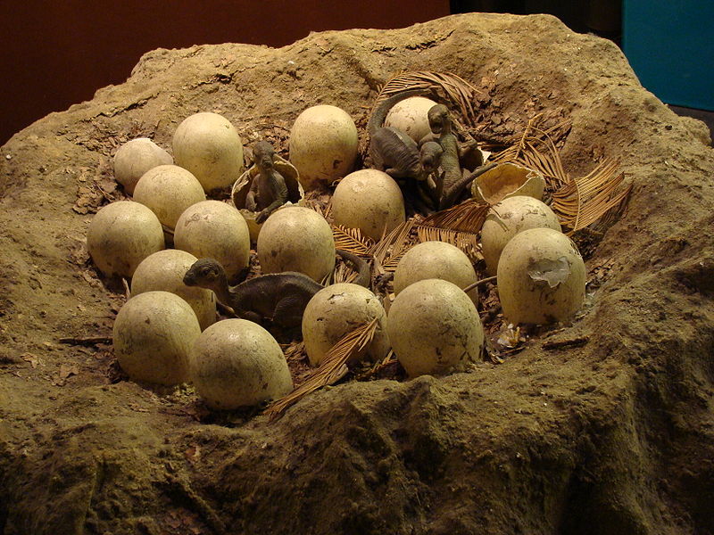 9. Reconstrucción de un nido similar a los encontrados por Horner y Makela. Autor, Drow Male