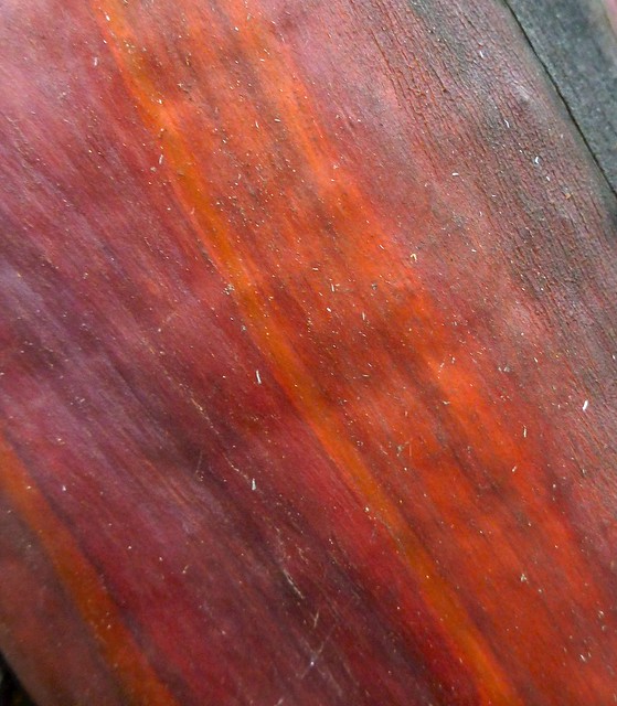 manzanita red