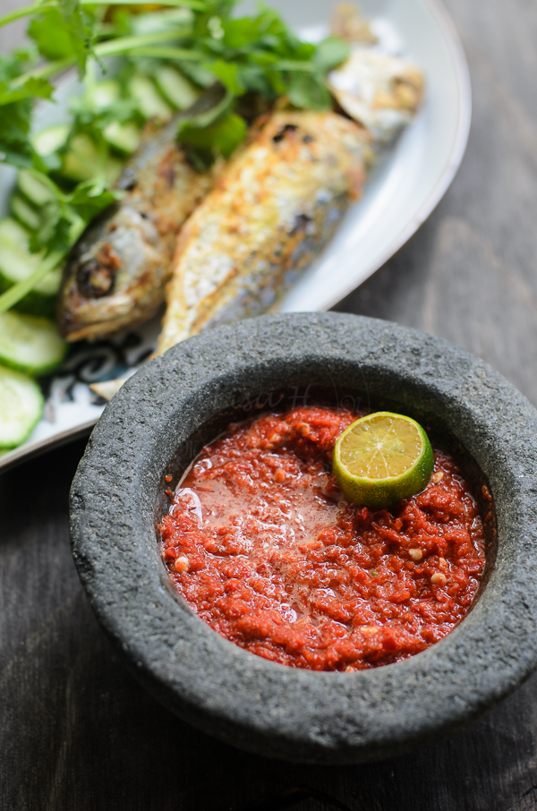 Spicy and hot chilli dip