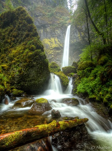 longexposure rain oregon waterfall moss spring pacificnorthwest lichen columbiagorge hdr multnomahcounty elowahfalls