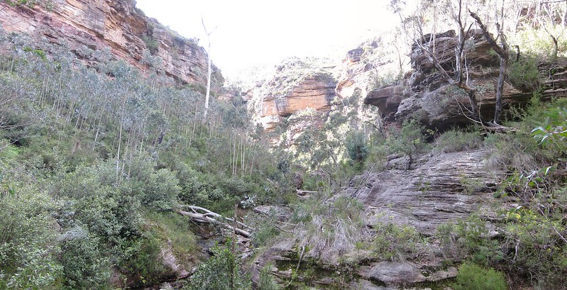 A drier section of the canyon