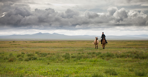 portrait horses green grass clouds landscape mongolia fields steppe herder dornod mongloian