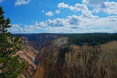 cliff tree yellow forest river landscape nationalpark rocks day canyon yellowstone hdr grandcanyonoftheyellowstone d800e pwpartlycloudy