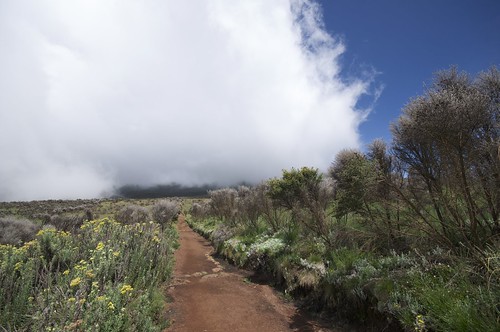 africa mountain kilimanjaro tanzania climbing