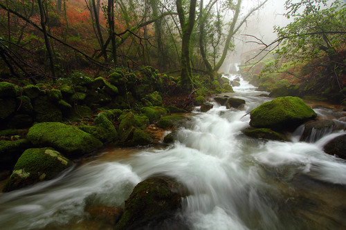 winter españa mist green water rio river agua galicia invierno niebla pontevedra tripes
