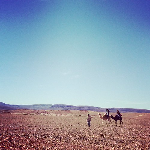 africa trip travel ride desert camel morocco maroc atlas afrika ouarzazate marokko iphone aitbenhaddou instagram iphone5s
