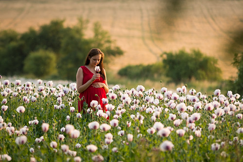 sunset woman pregnancy poppy czechrepublic cz doksy liberecregion
