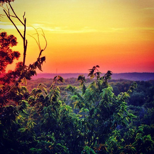 sunset nature square squareformat starvedrock iphoneography instagramapp xproii