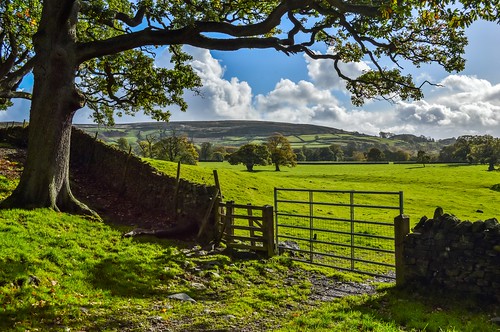 tree abbey field grass stone wall clouds landscape gate day cloudy hill scenary bolton dales yokshire