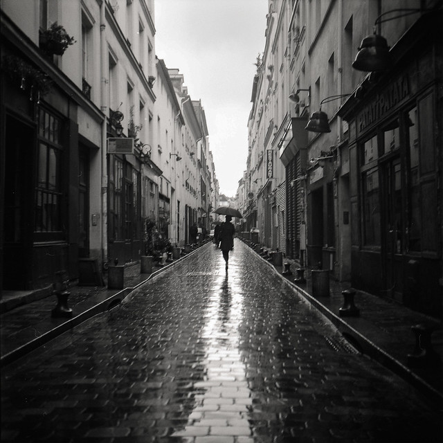 Paris in the rain