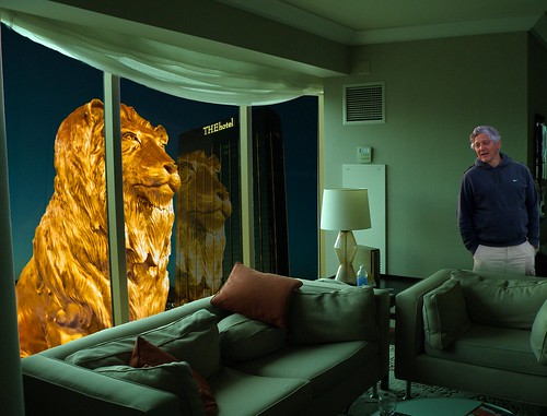 las vegas mgm lion thehotel mandalay bay hotel staring contest giant escaped friendly fierce roar photoshop flickr google bing yahoo daum image stumbleupon facebook national geographic getty absolutely real evening news stays golden photo pin interesting creative color surreal avant guarde