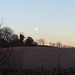 Moon rise — at Butser Ancient Farm.