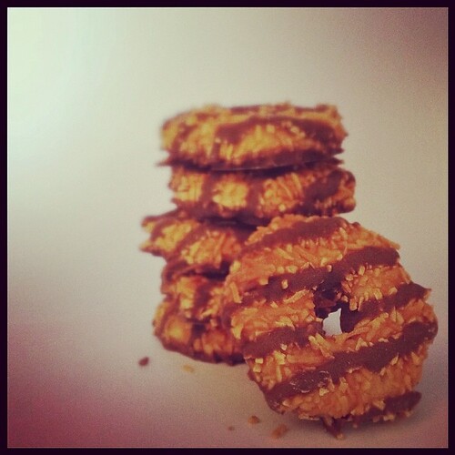 #fmsphotoaday March 23 - I'm loving. (My first-ever Girl Scout cookies!)