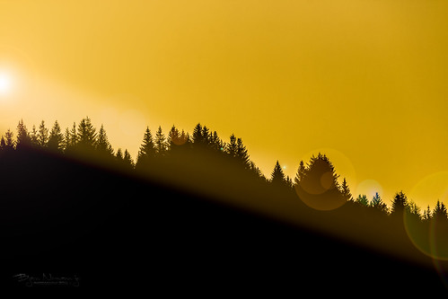 trees sunset orange silhouette forest woods bergen kontrast sunbeam sunray siluett normannphotography