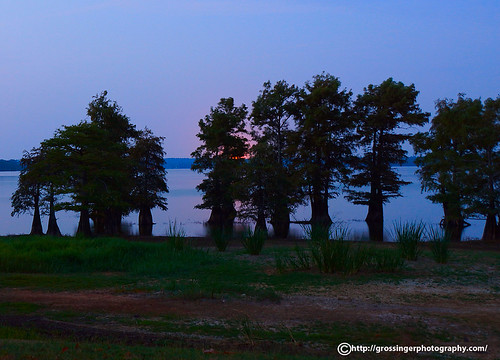 trees lake water sunrise texas tx cypress caddo