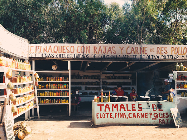 eatsleepwear, mexico, ensenada, travel, tamales
