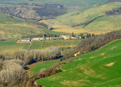 landscape tuscany cretesenesi nature farm hills panorama green grass trees winter clay cypress agriculture