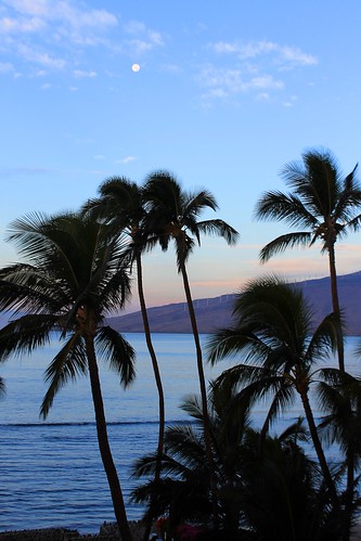 Maui mornings