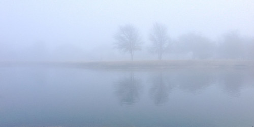 park trees lake reflection fall fog landscape texas allen unitedstates tx foggy celebrationpark 2013 iphone5 exif:iso_speed=50 geo:state=texas exif:make=apple iphoneography camera:make=apple geo:countrys=unitedstates ©ianaberle exif:aperture=ƒ24 exif:focal_length=413mm exif:model=iphone5 geo:city=allen camera:model=iphone5 geo:lat=331085 geo:lon=96624833333333
