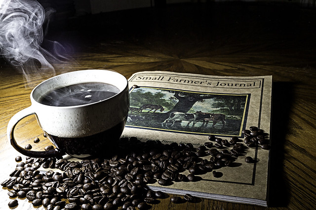 024650-59-Cup of Coffee and Small Farmer's Jurnal-9
