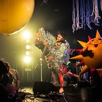 The Flaming Lips 15
