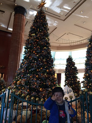 ウエスティンホテルのクリスマスツリー 2013/11
