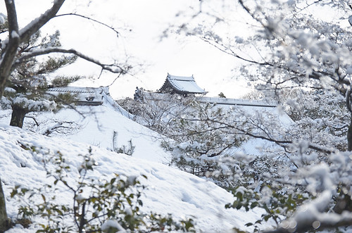 【写真】2014 雪 : 金閣寺/2020-07-05/IMGP4945