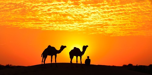 sunset red orange sun india silhouette sand nikon desert dune ombre camel tamron thar rajasthan inde d800 70200mm dromadaire