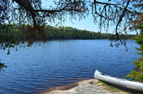 blue camping trees summer lake green water minnesota forest landscape nikon canoe ely waters canoeing upnorth boundary nels mn bwca d5100 nelslake