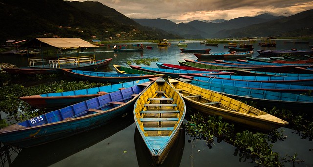 Boats in Pokhara