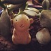 #多肉植物 里的#泥娃娃 #clay#doll#succulent#plant