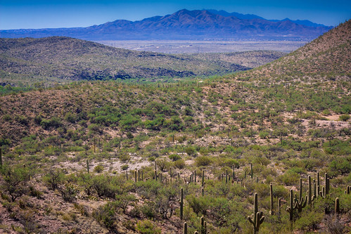santa arizona mountains canon landscape 50mm desert tucson rita ii saguaro f18 tucsonarizona santaritamountains 50mmf18ii canonxsi