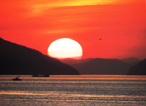 sunset pordosol sea sun sol mar fishing japão kagawa pescador wather utazu
