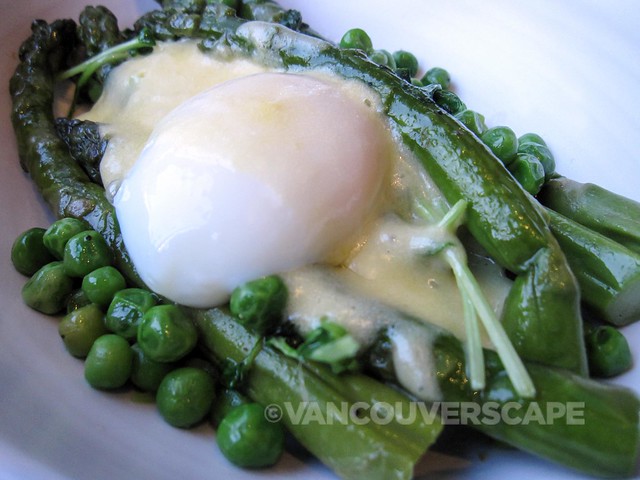 Poached asparagus with a soft poached hens egg & truffle hollandaise