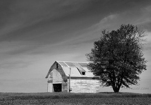 wood old summer blackandwhite bw tree monochrome field mystery barn contrast rural landscape wooden illinois highway scenery alone farm empty country rustic shed scenic sunny f10 il negativespace single worn lincoln mysterious lone weathered crops desaturated lonely aged agriculture pastoral solitary desolate deserted atmospheric isolated agricultural bucolic creston rochelle ruleofthirds lincolnhighway q4 fastpictures