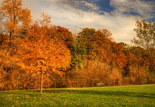 park autumn ohio fallcolors lakecounty a77 painesville sigma102035 jeff® copyright©byjeffreytaipale j3ffr3y
