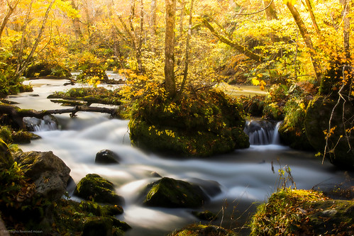longexposure autumn fall sunshine stream shine valley utata 青森 oirase 奥入瀬渓流 2013 canoneos5dmarkiii ef70200mmf28lisiiusm