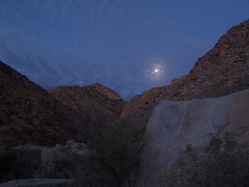sunrise desert hiking backpacking borrego anzaborrego moonset alpenglow anza anzaborregodesertstatepark cougarcanyon