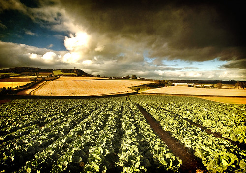 road county ireland tower field clouds countryside nikon down northern textured newtownards scrabo cabbages d90 comber moate