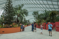 Around 'The Gardens by the Bay', Singapore