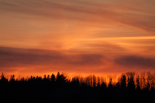 trees sunset sky orange sun silhouette