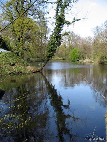 park flora wasser natur schloss spiegelung schlosspark mönchengladbach niederrhein spiegelungen schlossgraben schlossrheydt