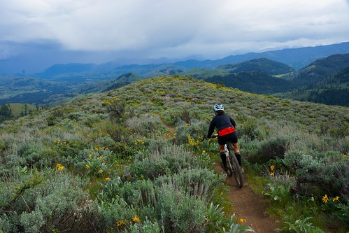 mountain biking