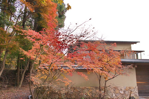 【写真】2012 紅葉 : 赤山禅院/2017-12-23/IMGP7769