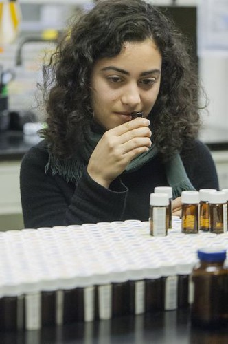 This shows a volunteer smelling a vial. 
