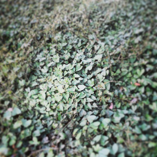 square squareformat iphoneography instagramapp uploaded:by=instagram foursquare:venue=50a259f3e4b0ed47fb61d655