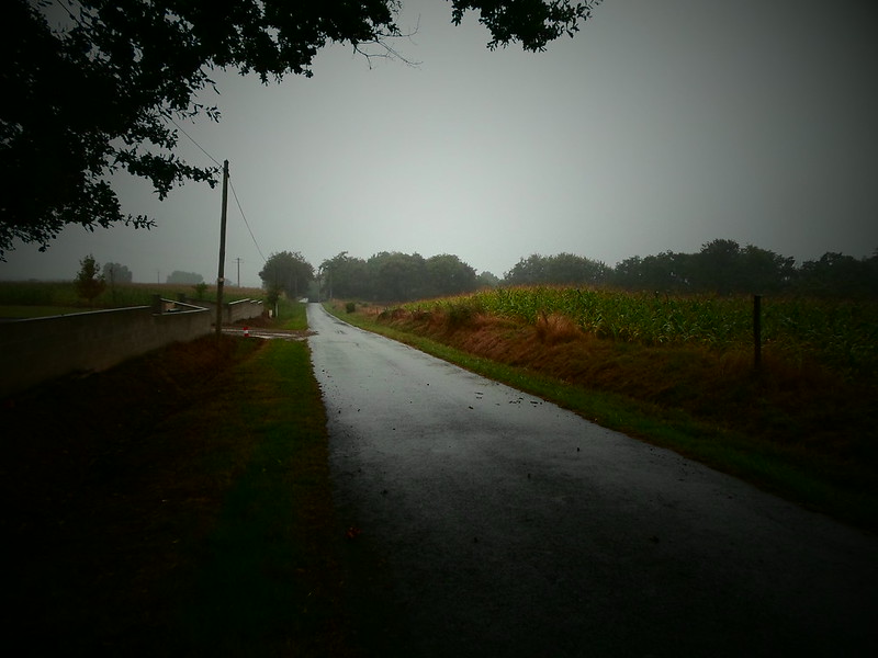 The wet road to Orthez