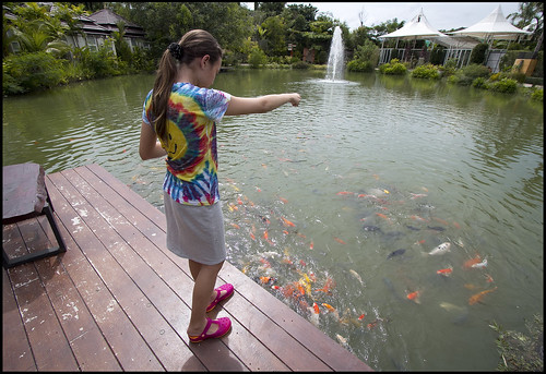 Feeding the Fish at Phuket Botanic Garden